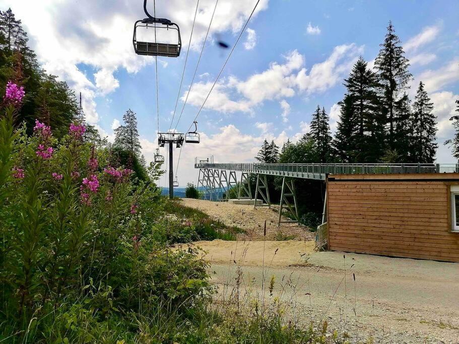 Charmant Appartement Au Pied Des Pistes De Lélex מראה חיצוני תמונה